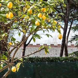 Lemon House Yellow , Pise Italie